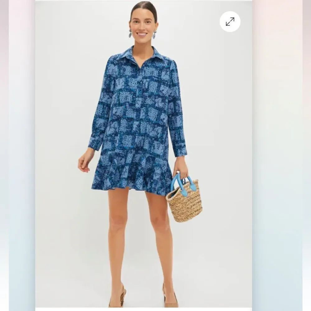 Tuckernuck Button Down Floral Blue Collared Mini Dress Pockets Sz Small NWT